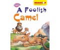 A Foolish Camel
